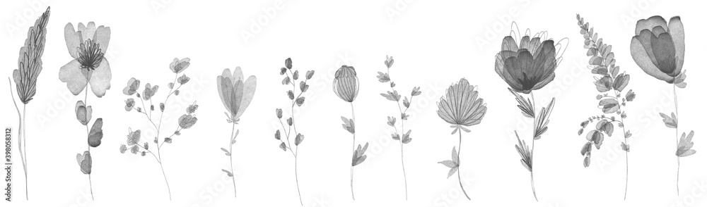 Delicate translucent summer petal flower bud set. Pencil digital art sketch. Print for design packaging of brand products, wallpaper, postcards, beauty business, wrapping paper, fabric.
