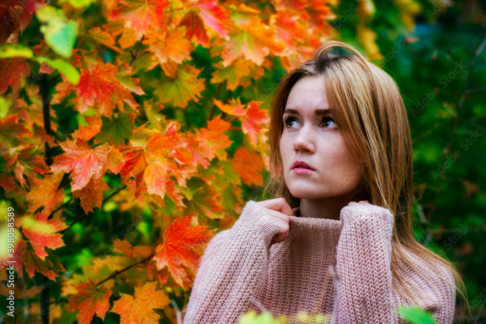 Beautiful girl in a knitted sweater in the autumn Park.Portrait of a girl in autumn leaves. Beautiful girl in a knitted sweater in the autumn Park.Portrait of a girl in autumn leaves.