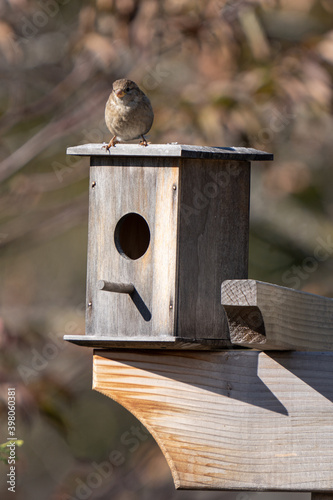 bird house has been mounted on a post and is waiting for visitors