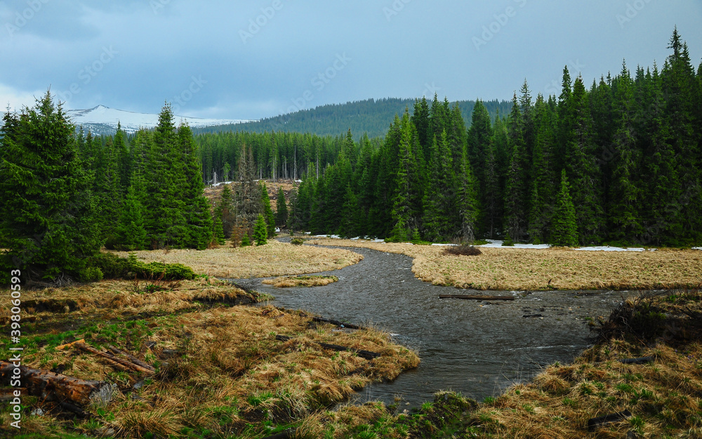 Sebes River flowing along wild pine forests - autumn season. Sureanu Mountains, Carpathia, Romania. Sebes River flowing along wild pine forests - autumn season. Sureanu Mountains, Carpathia, Romania.