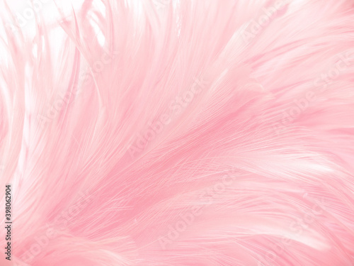 Beautiful abstract light pink feathers on white background   white feather frame texture on pink pattern and pink background  love theme wallpaper and valentines day
