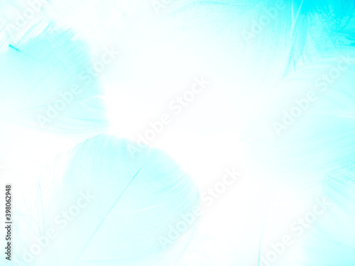 Beautiful abstract blue feathers on white background  light green feather texture on white pattern and blue background  feather background  green theme valentines day