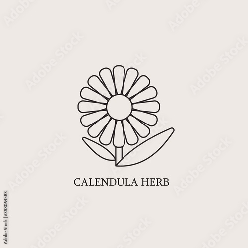 Vector monochrome emblems - healthy herbs for print or package design. Medicinal, cosmetic plant- calendula flower with leaves and petals. Logo or icon in trendy simple linear style.