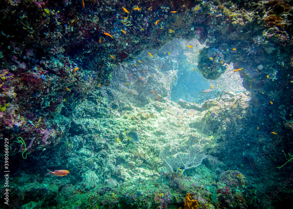 Exit from the underwater cave to the colorful world of fish and corals