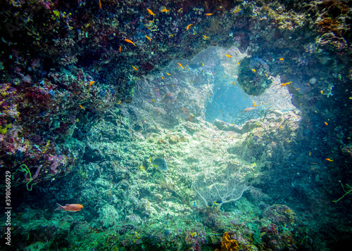 Fototapeta Naklejka Na Ścianę i Meble -  Exit from the underwater cave to the colorful world of fish and corals