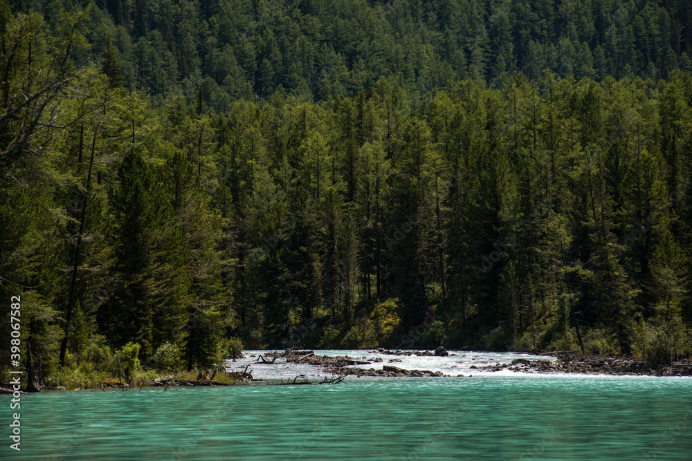 green slopes of the Altai mountains with sparsely growing forest green slopes of the Altai mountains with sparsely growing forest