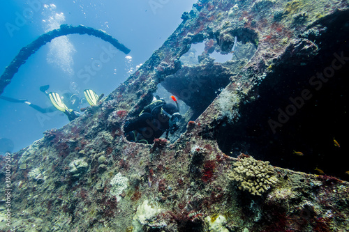 Fotografi Sunken ship covered in coral and a diver swimming into the ship