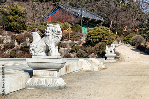 Temple Lion photo