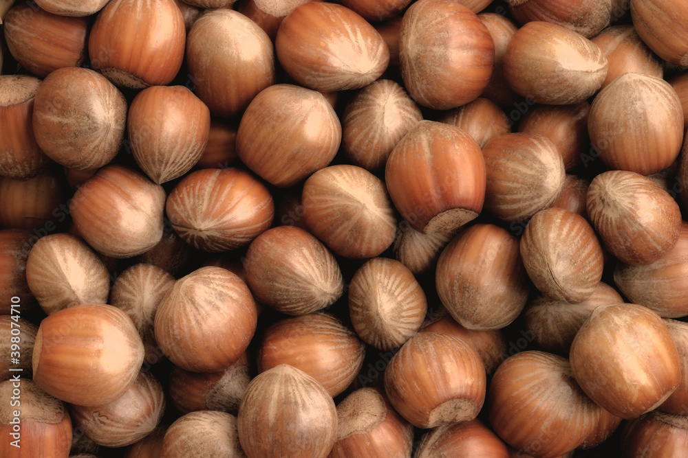 hazelnuts hazelnuts