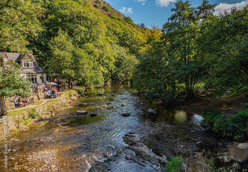 Fototapeta UK - Devon - Dartmoor