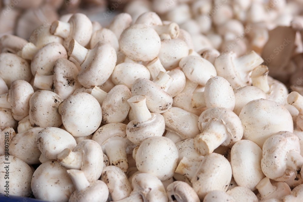 Pile of fresh white champignons close up. Heap of organic mushrooms. Food selling concept. Pile of fresh white champignons close up. Heap of organic mushrooms. Food selling concept.
