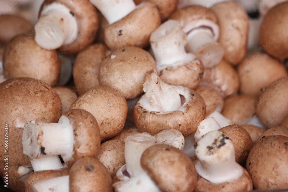Pile of raw brown mushrooms close up. Harvest of organic vegetables. Cultivation of brown champignons mushrooms. Pile of raw brown mushrooms close up. Harvest of organic vegetables. Cultivation of brown champignons mushrooms.