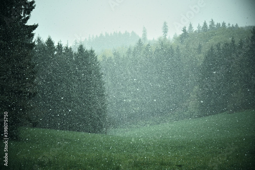 Schneefall auf einer Lichtung in einer Gebirgslandschaft photo