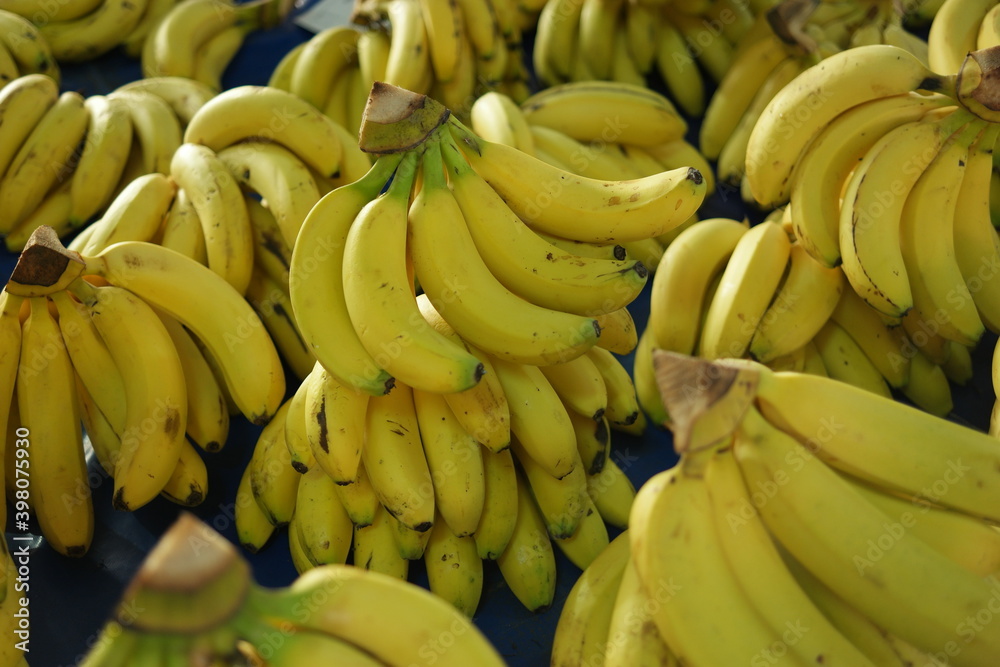 Bananas bunches close up. Display with ripe tropical fruits at market stall.
