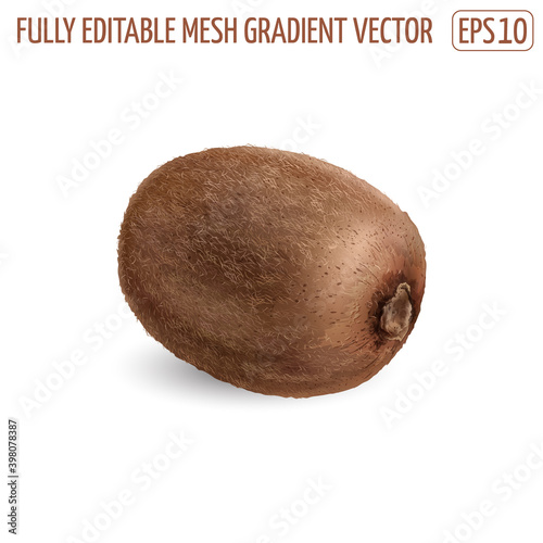 Fresh ripe kiwi on a white background.