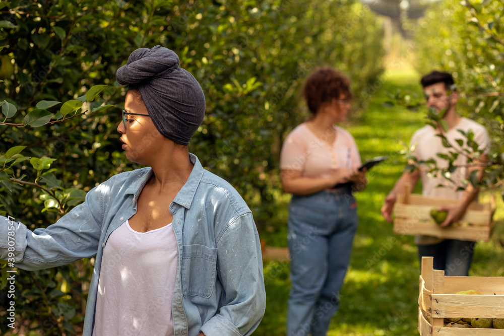 Black woman picking fruits while her coworkers chatting in back