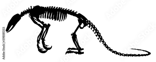 silhouette of an anteater skeleton