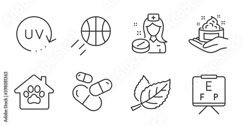 Vision board, Capsule pill and Pet shelter line icons set. Basketball, Nurse and Leaf signs. Uv protection, Skin care symbols. Eye check, Medicine drugs, Dog house. Healthcare set. Vector