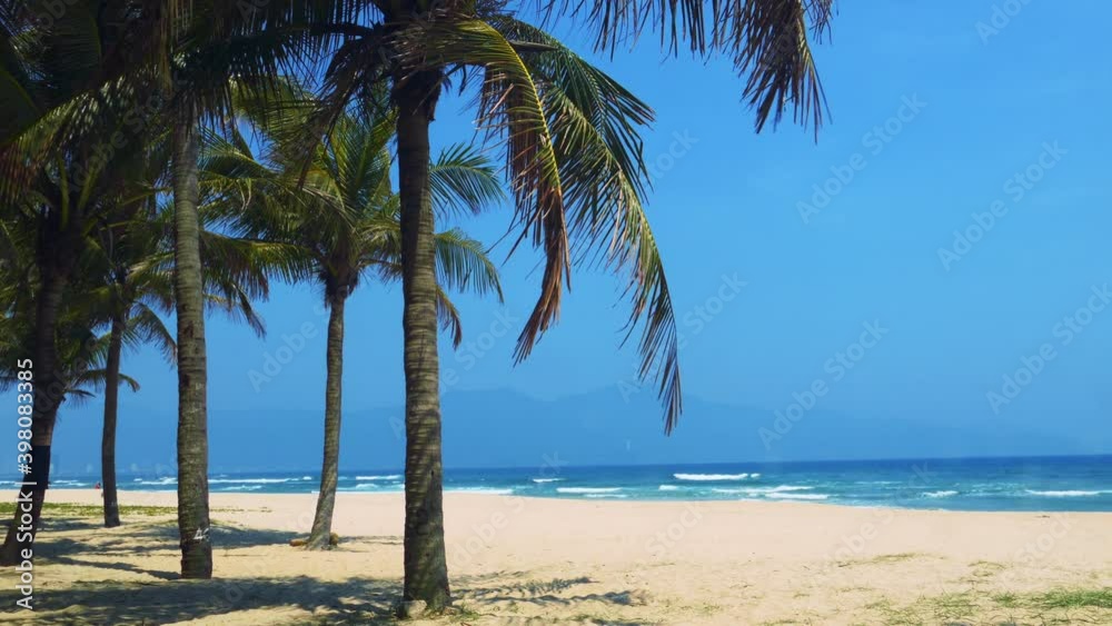 Sandy deserted tropical beach with coconut palm trees. 4K footage Sandy deserted tropical beach with coconut palm trees. 4K footage
