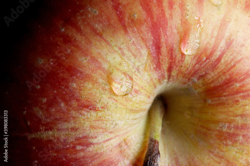 close-up of organic and fresh apple