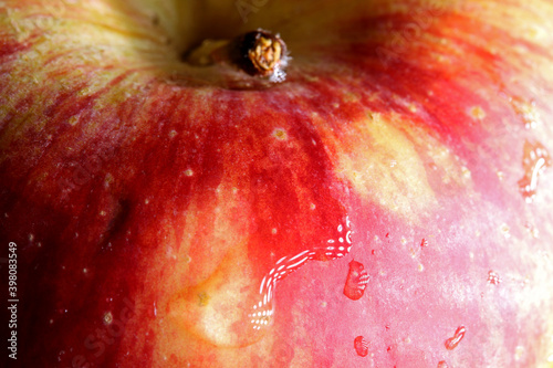 close-up of organic and fresh apple