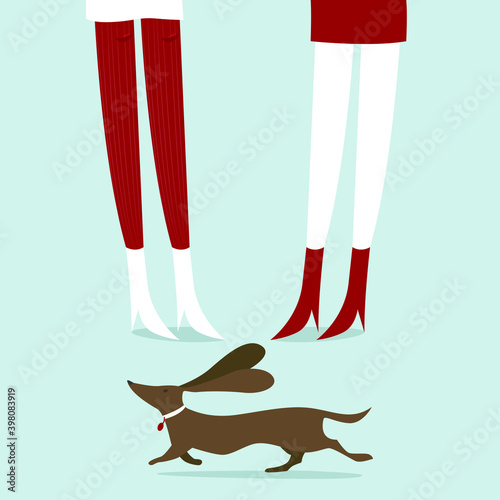 Lady with a dog. Walking a pet. Pet. Winter.Snow.Street. Vector illustration.Girlfriends.Legs.Owner girl or sitter in a sterile.Street.New year, holiday, Christmas.Ice