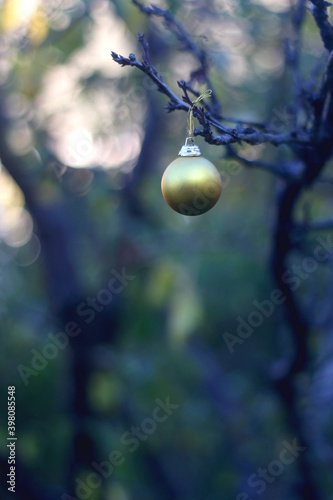 Gold Christmas bauble, hanging in the garden. Selective focus.