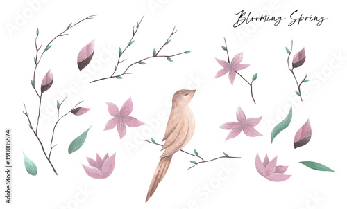 Set of hand-drawn isolated spring illustrations