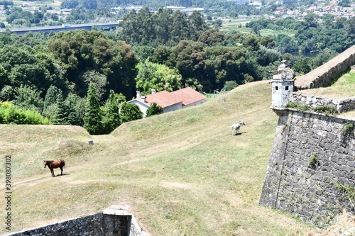 detail of the border city town fortaleza de valenca between spain and portugal photo