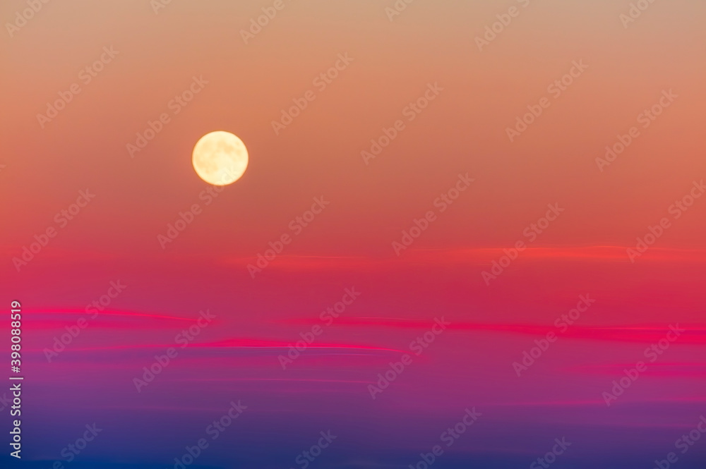Obraz premium Rising Harvest Moon in a sunset colored sky