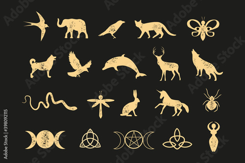 A set of esoteric elements.Tattoo alchemy and spiritual, witchcraft magician and occult.
