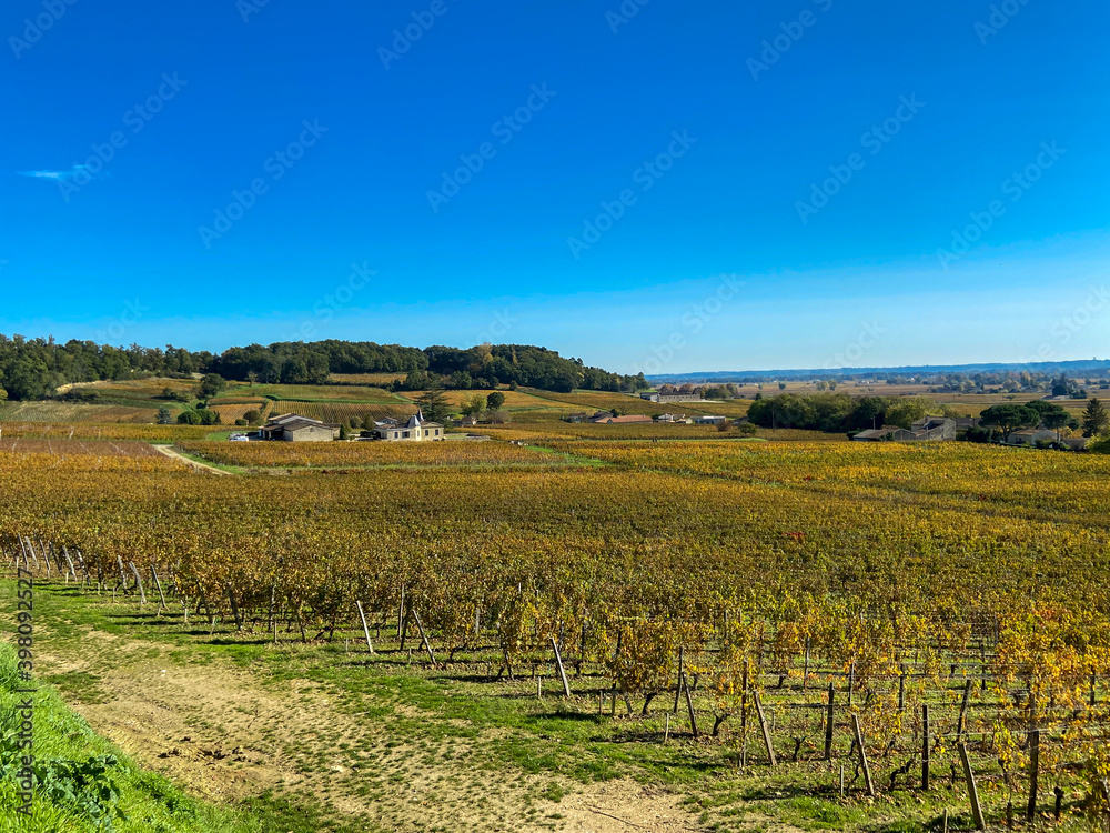 Fototapeta premium Vignes à Saint Emilion en automne, Gironde