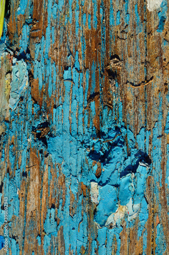 Wood texture, remnants of blue paint
