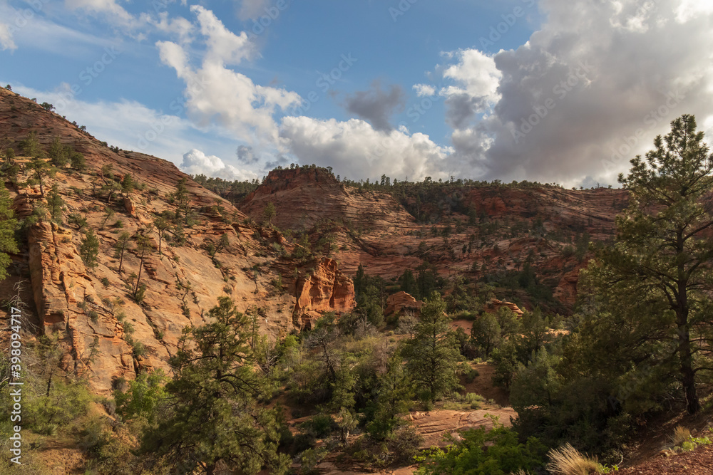 Fototapeta premium Rock formations at Zion National Park, Utah, USA