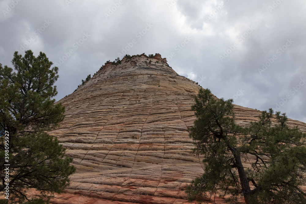 Checkerboard Mesa rock formations at Zion National Park, Utah, USA Checkerboard Mesa rock formations at Zion National Park, Utah, USA