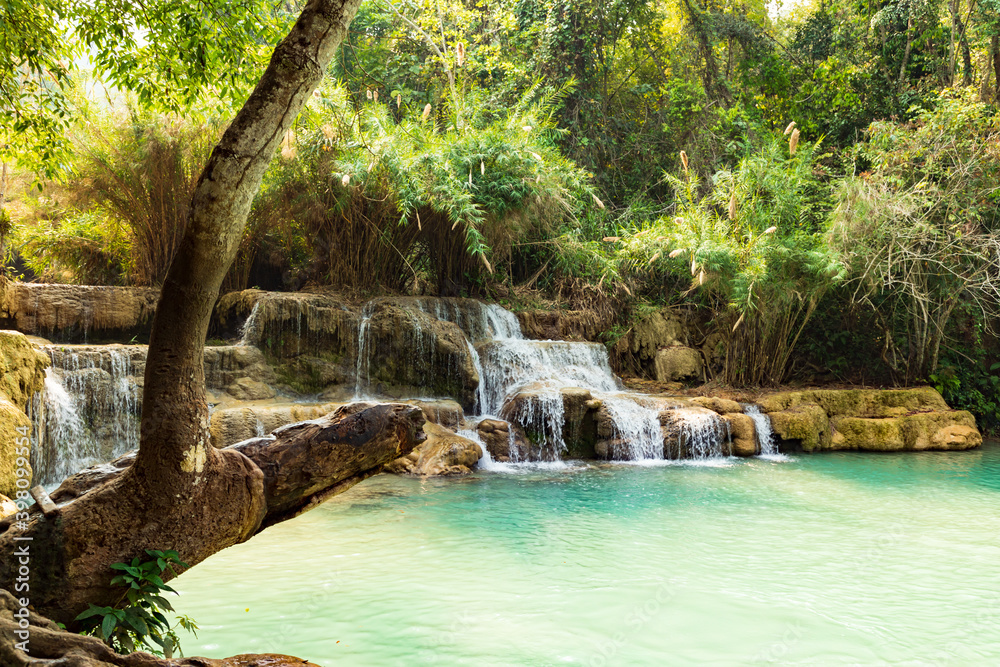 Naklejka premium Am Kuang-Si-Wasserfall, ein schöner Wasserfall im tropischen Dschungel von Luang Prabang in Laos.