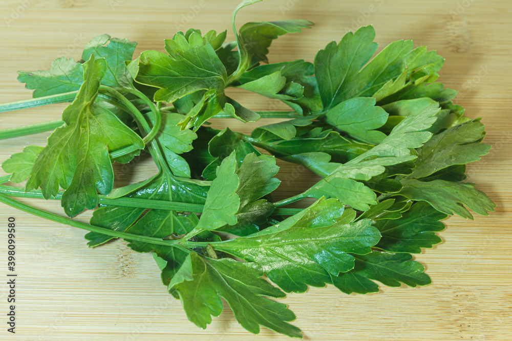 Fresh green parsley branch. Aromatic herb. Fresh green parsley branch. Aromatic herb.