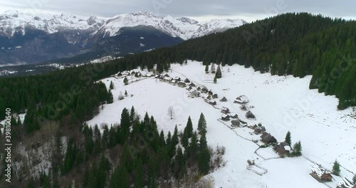 Aerial drone flying over beautiful Alpine village Zajamniki, Slovenia. Pokljuka plateau, rounded spruce forest area covered with snow in winter season. Julian Alps in the distance