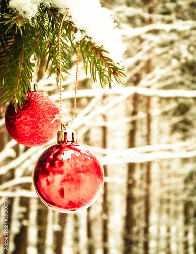 Christmass balls on tree twig. Christmas time. photo