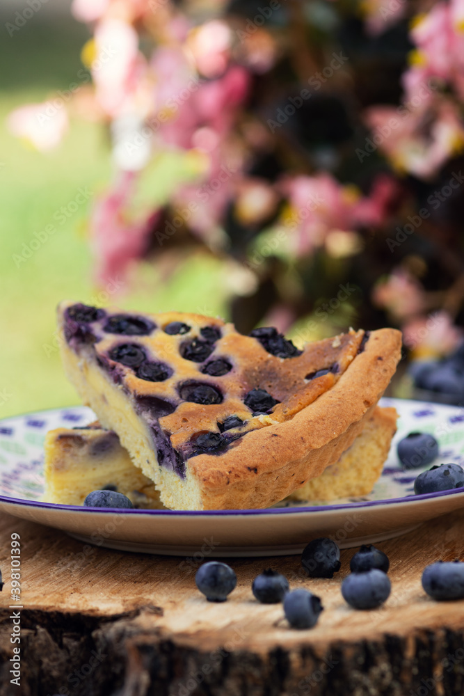 Blueberry pie on a small plate on a tree cut Blueberry pie on a small plate on a tree cut