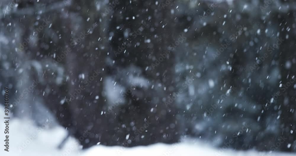 Falling snow in the woods
