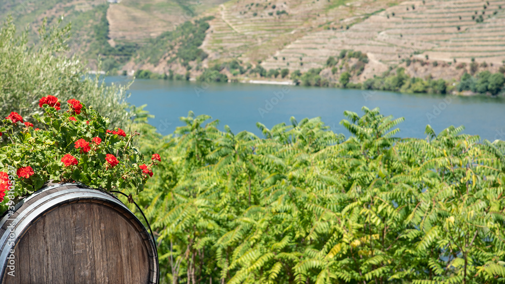 Wine barrel on land planted with vines in the mountains with the river Douro Wine barrel on land planted with vines in the mountains with the river Douro