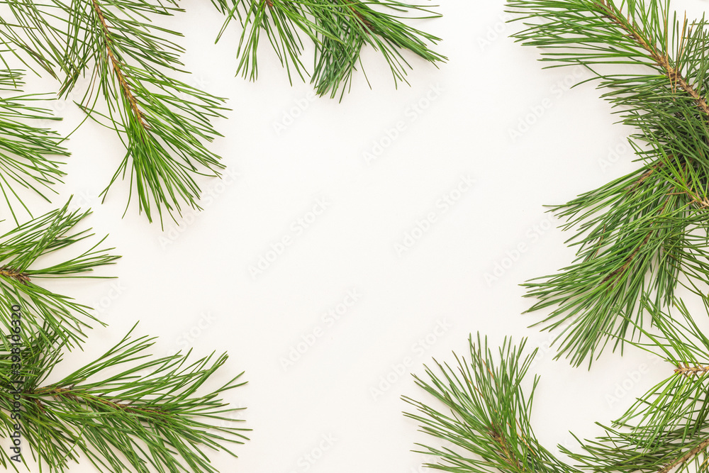 Pine branches isolated on white background. Christmas concept. Selective focus. Top view.