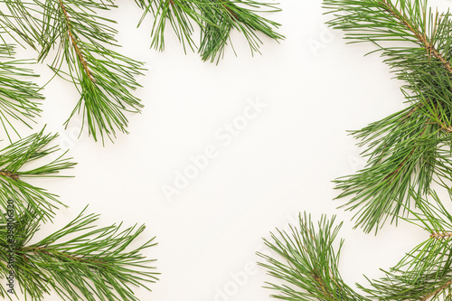 Pine branches isolated on white background. Christmas concept. Selective focus. Top view.