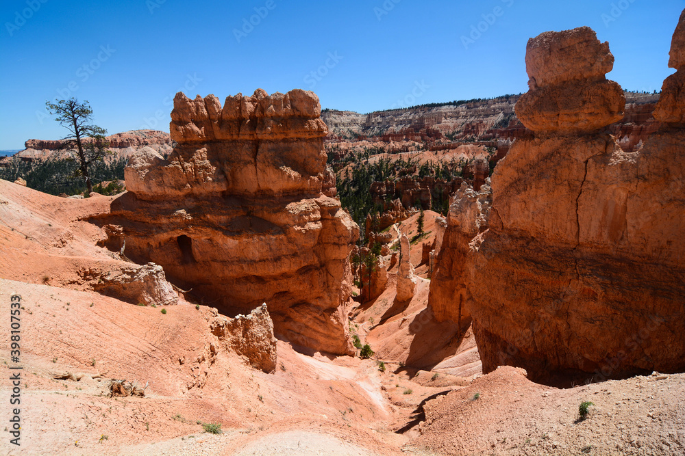 Bryce Canyon - landscape