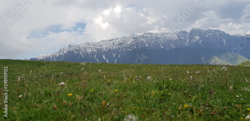 Mountain top grassy view