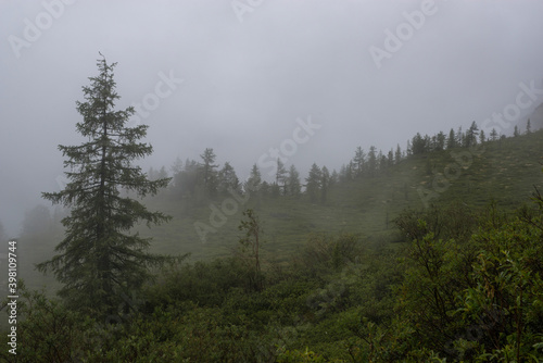 Altai mountains shrouded in white clouds, it looks quite gloomy
