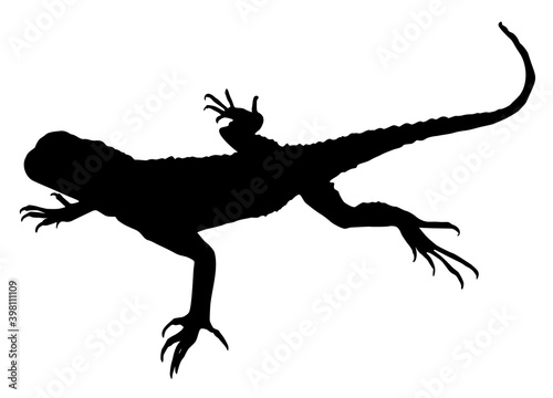  lizard silhouette vector
