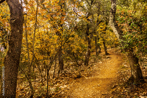 Fuente Roja natural park in Alcoi on a foggy autumnal day.