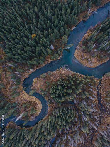 Aerial view of river fork in remote forest of Alaska